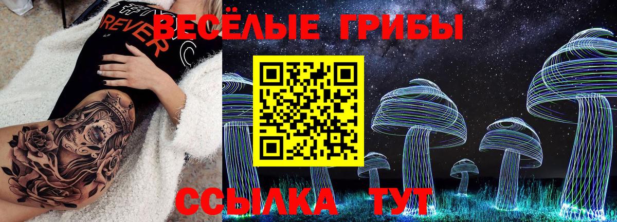 Галлюциногенные грибы Cubensis  Вход с VPN  Калуга 