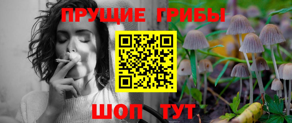 Псилоцибиновые грибы Cubensis Калуга